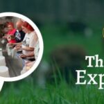 the cheese experience