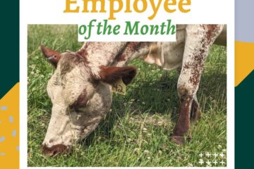 Emmenthal - May's Employee of the Month