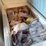 a freezer full of grass-fed beef