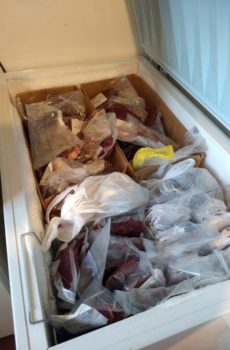 a freezer full of grass-fed beef