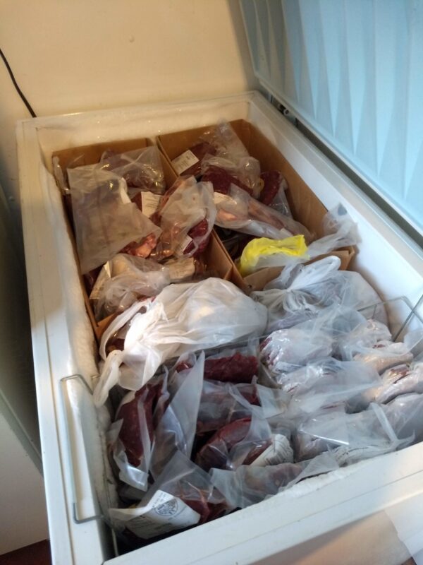 a freezer full of grass-fed beef