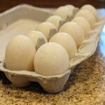 a carton of dozen duck eggs