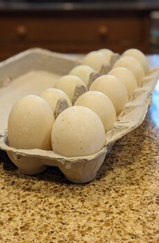 a carton of dozen duck eggs