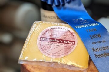 A wheel and wedge of Winemakers Select, blue ribbon winner at the 2025 Farm Show