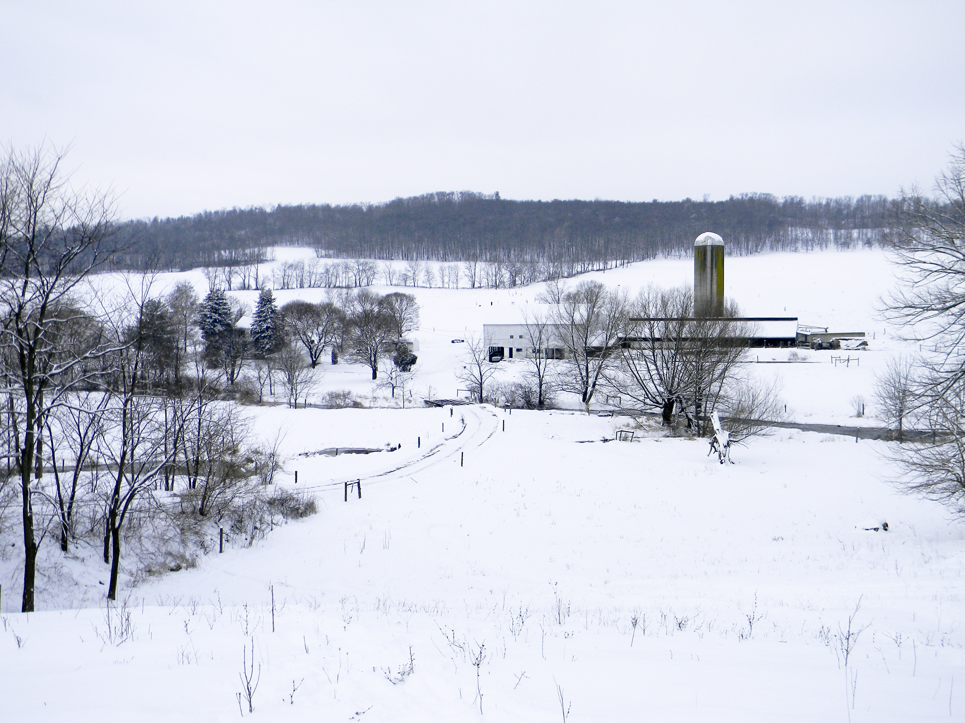 a photo of the farm in winter
