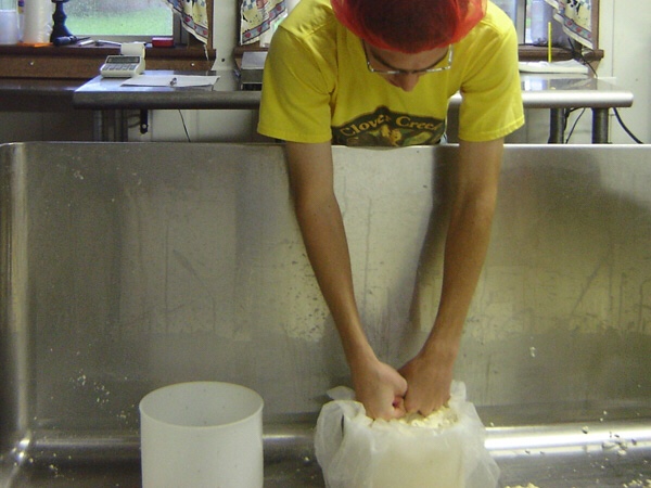 Anthony packing curds into a hoop