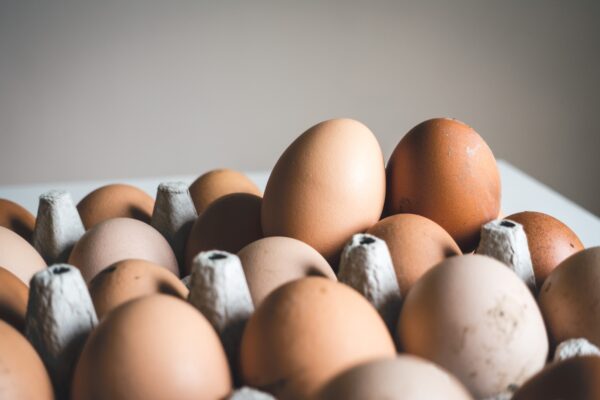 shallow focus photography of pastured brown eggs