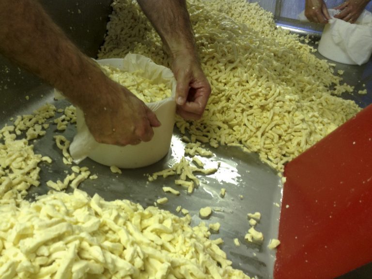 Hoops and Followers – How We Make Cheese