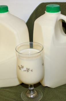 a gallon and half gallon jug of raw milk