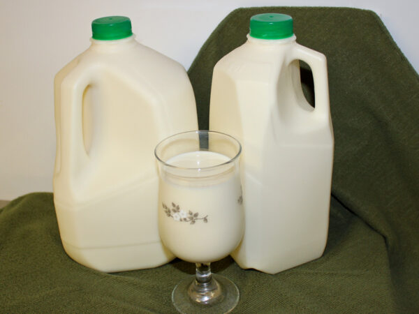 a gallon and half gallon jug of raw milk