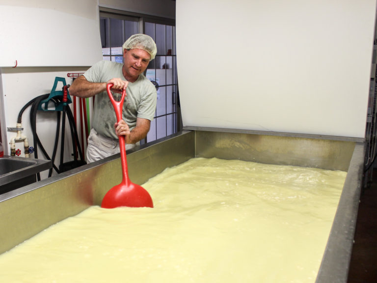 Cheddaring is a Verb – How We Make Cheese